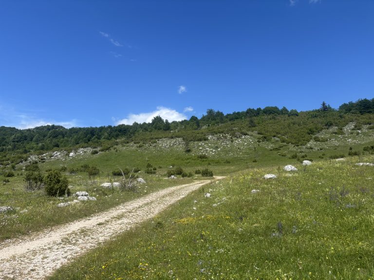 Na poboczu świata